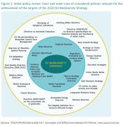 Synergies and differences between EU policies